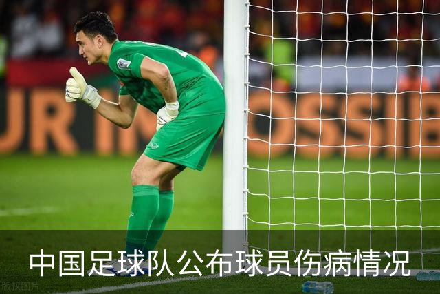 中国足球队公布球员伤病情况
