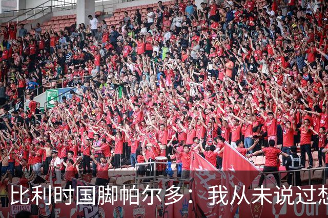 比利时国脚帕尔多：我从未说过想为西班牙出战，我做出了正确决定